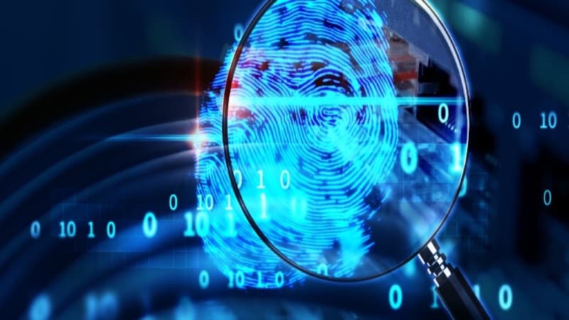 Network Security Audit